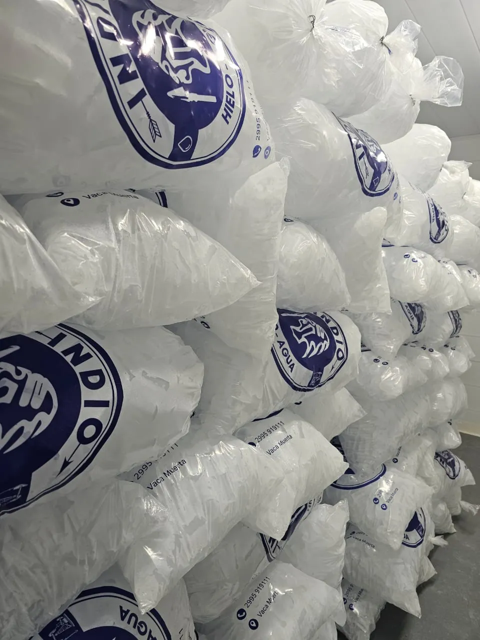 hielo bolsas deposito